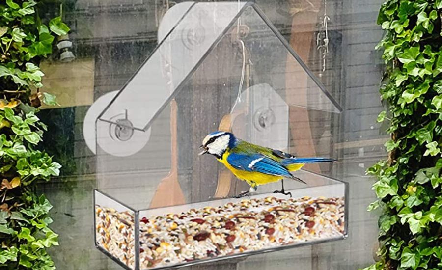 bird feeder for apartment balcony 5